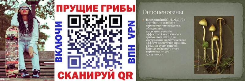 Галлюциногенные грибы ЛСД  блэк спрут маркетплейс  Лабытнанги 